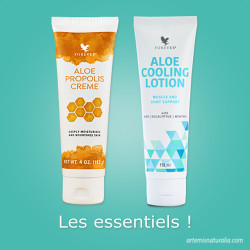 Cadeau les Essentiels - Rèf. 51 - 564