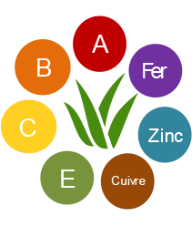 Aloe vera - raison 01