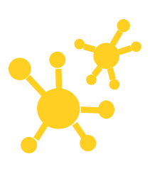 Aloe vera - raison 02