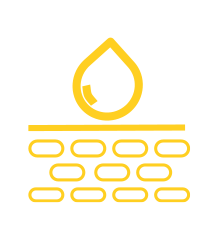 Aloe vera - raison 04