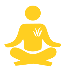 Aloe vera - raison 06