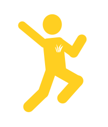 Aloe vera - raison 08