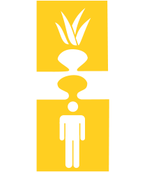 Aloe vera - raison 10