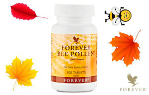 Mes bons plans automne